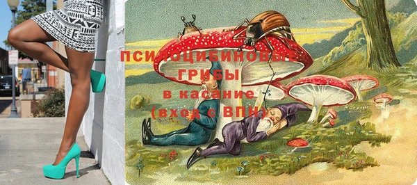 стафф Дмитриев