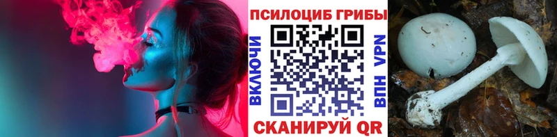 Псилоцибиновые грибы Psilocybine cubensis что такое наркотик Льгов